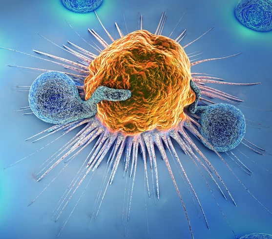 Immune cells attacking a cancer cell