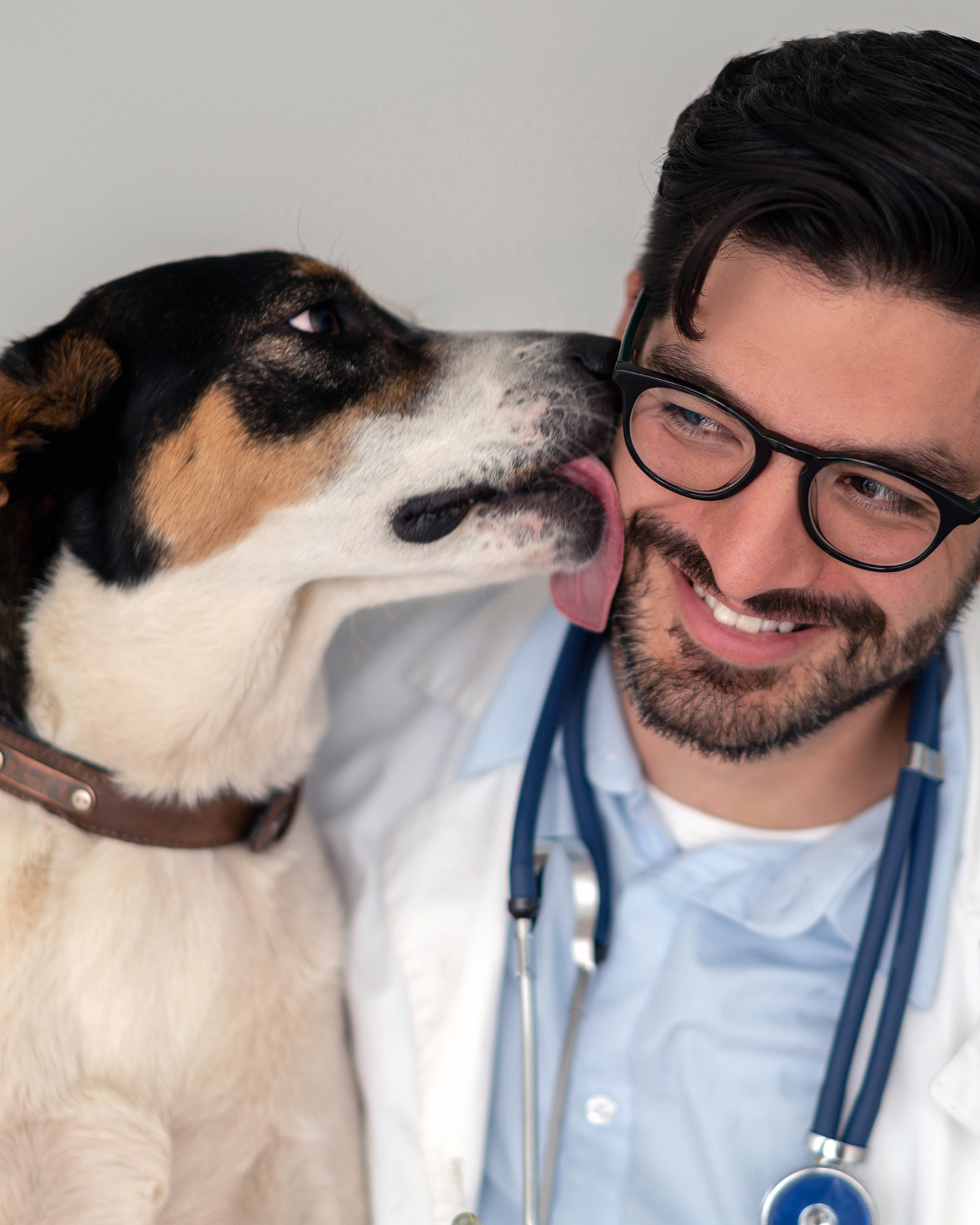 Veterinarian with dog
